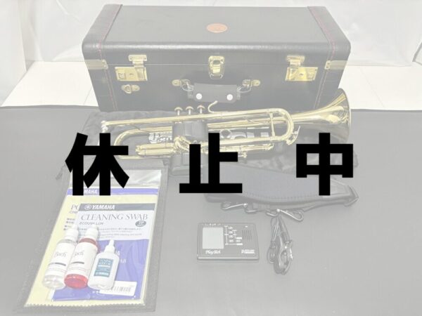 休止中①V.Bach　NEW YORK 7 GLレンタルセット
