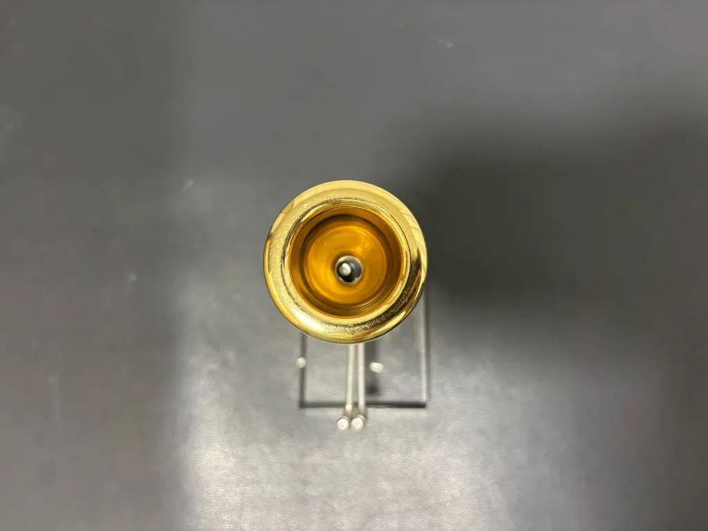 レンタル】DENIS WICK（デニスウィック） 4AL GP（ラージシャンク