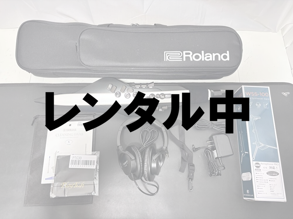 レンタル中①Roland AE-20
